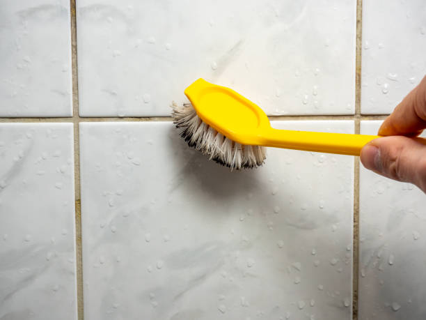 Best Certified Mold Removal  in North Conway, NH