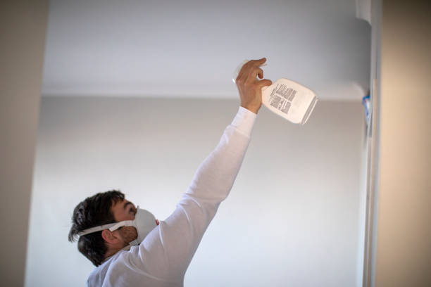 Best Local Mold Removal Service  in North Conway, NH